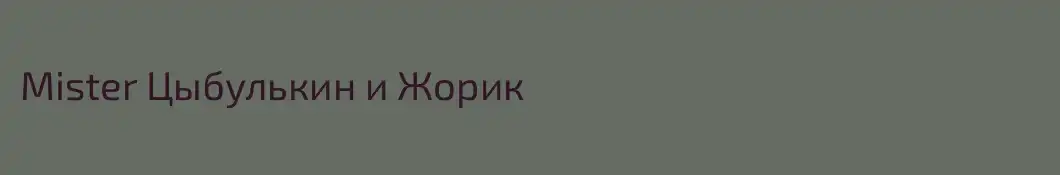 Mister Цыбулькин и Жорик